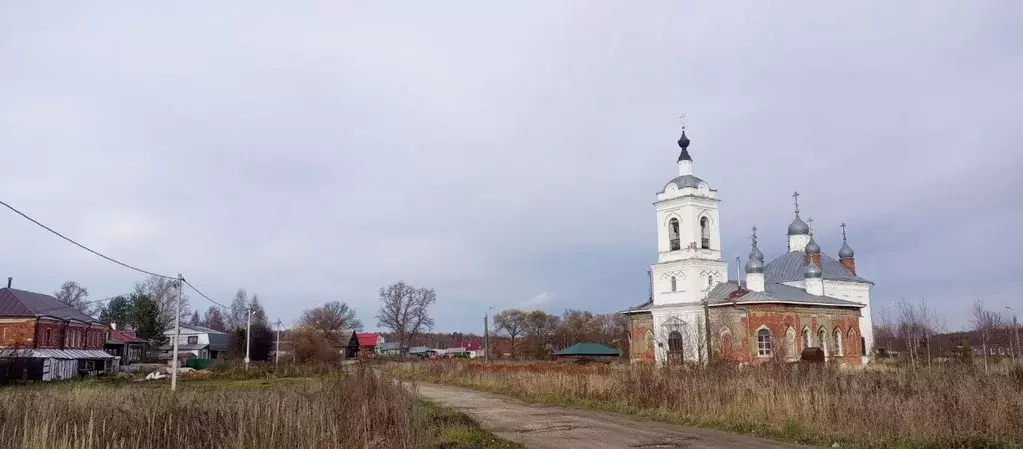 Участок в Владимирская область, Камешковский муниципальный округ, с. ... - Фото 2