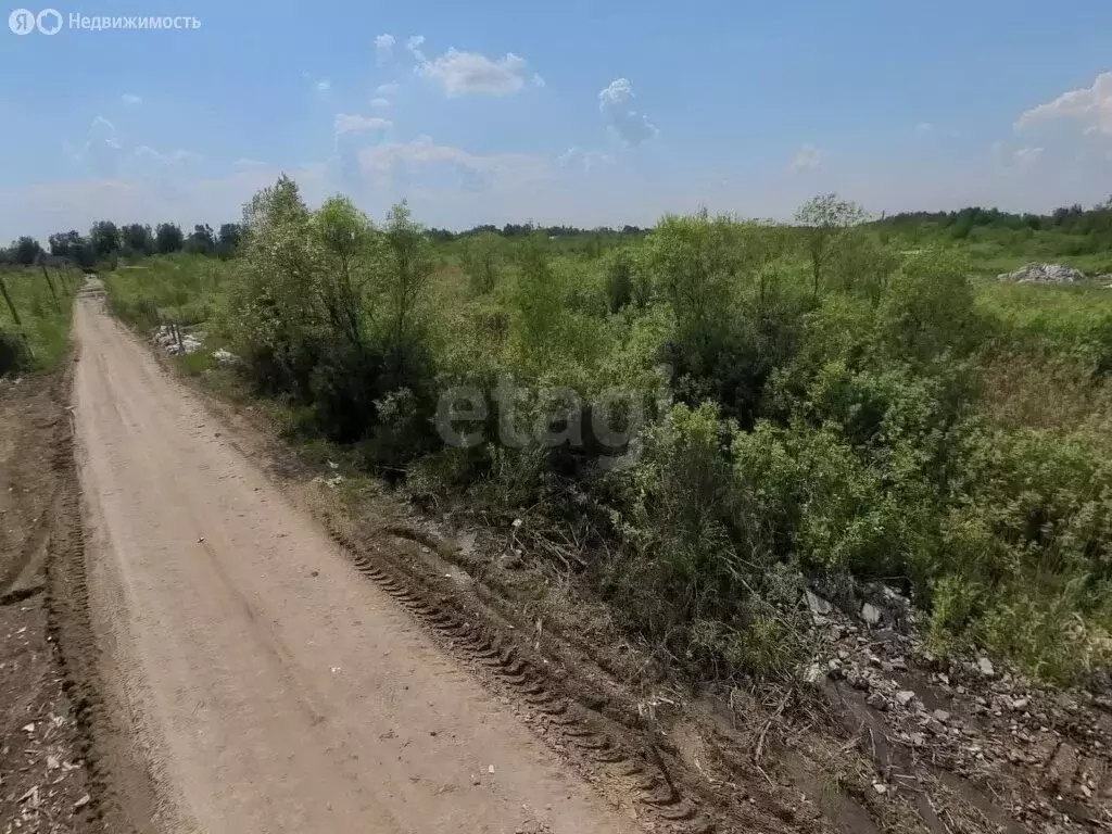 Участок в Нижнетавдинский район, СНТ Сочинские, 11-я линия (9 м) - Фото 1