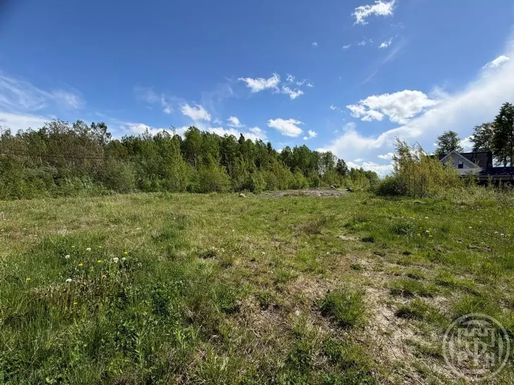 Участок в Санкт-Петербург, Санкт-Петербург, Петергоф ш. Ольгинское ... - Фото 1