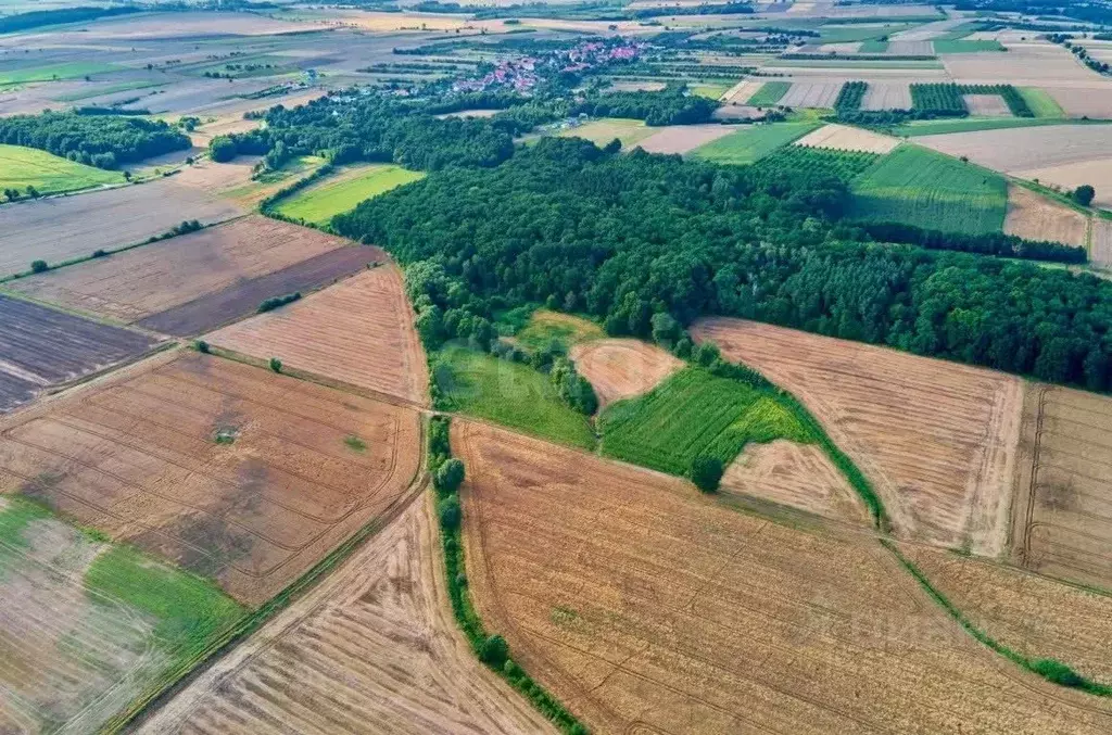 Участок в Ленинградская область, Приозерский район, Мельниковское ... - Фото 0