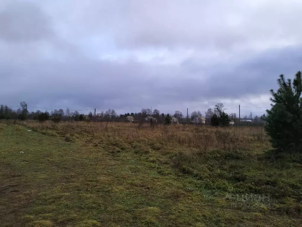 Участок в Новгородская область, Крестцы рп ул. Заветная (13.0 сот.) - Фото 2