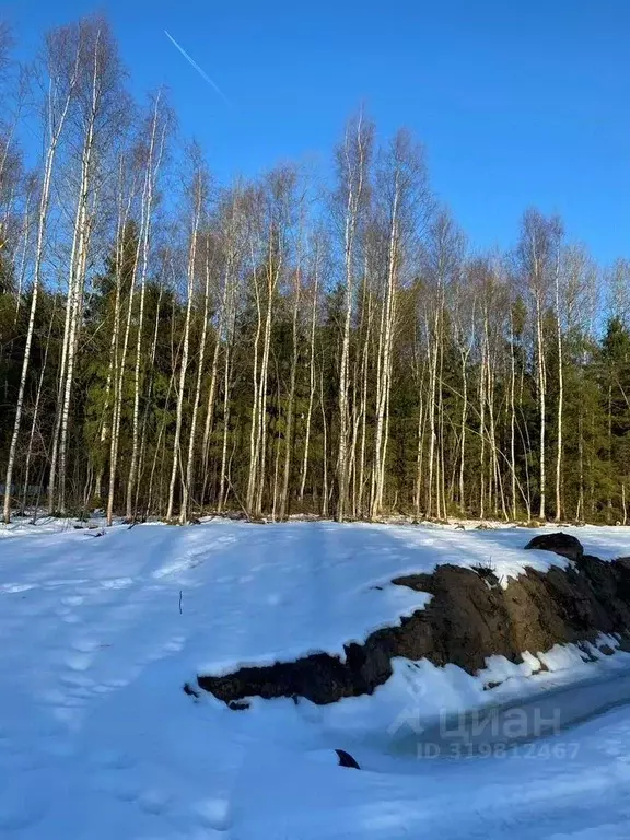 Участок в Ленинградская область, Кировский район, Синявинское ... - Фото 1