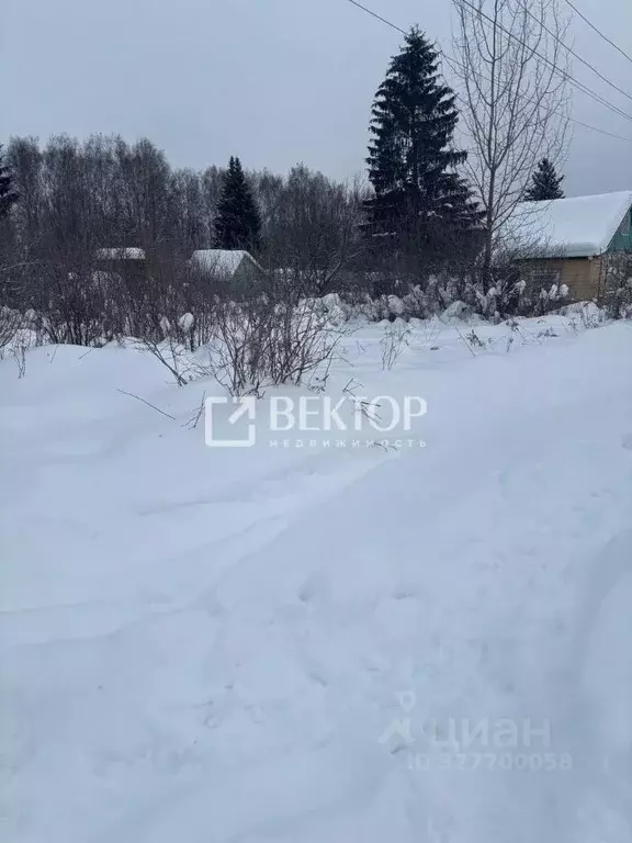 Участок в Костромская область, Кострома Дубки садоводческое ... - Фото 1