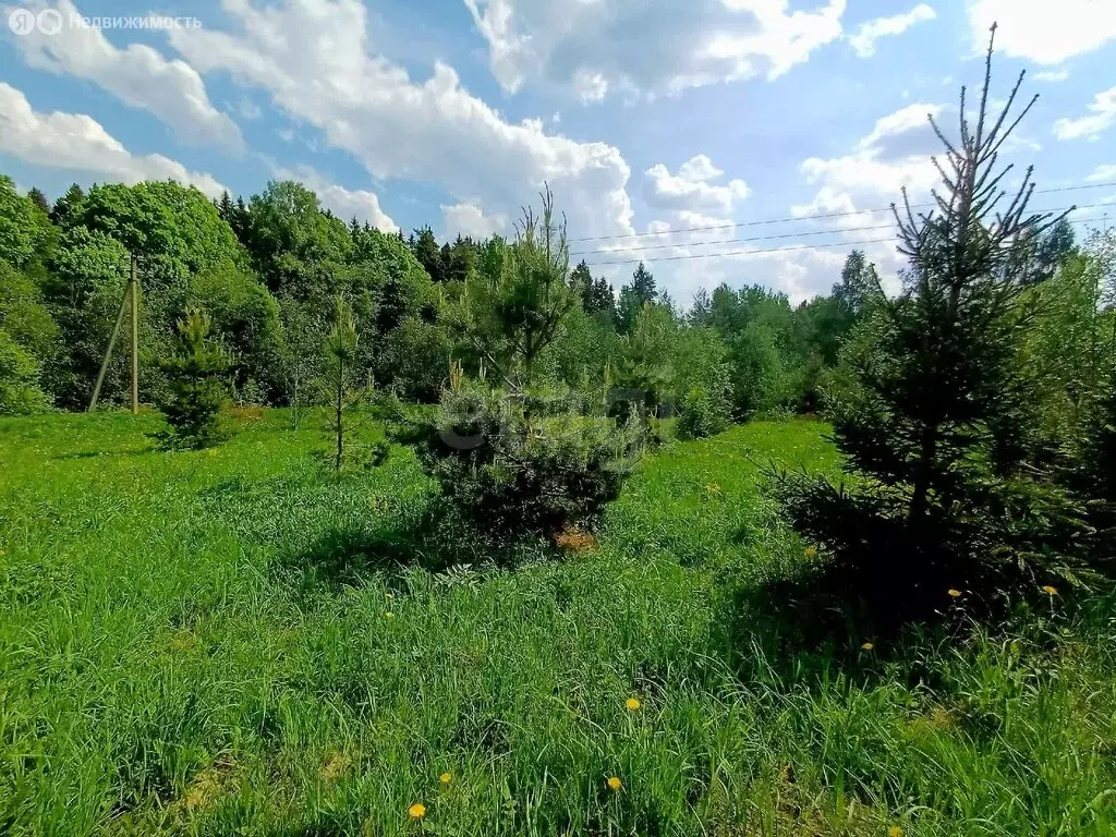 Участок в Сергиево-Посадский городской округ, СНТ Гранвилль (7 м) - Фото 2