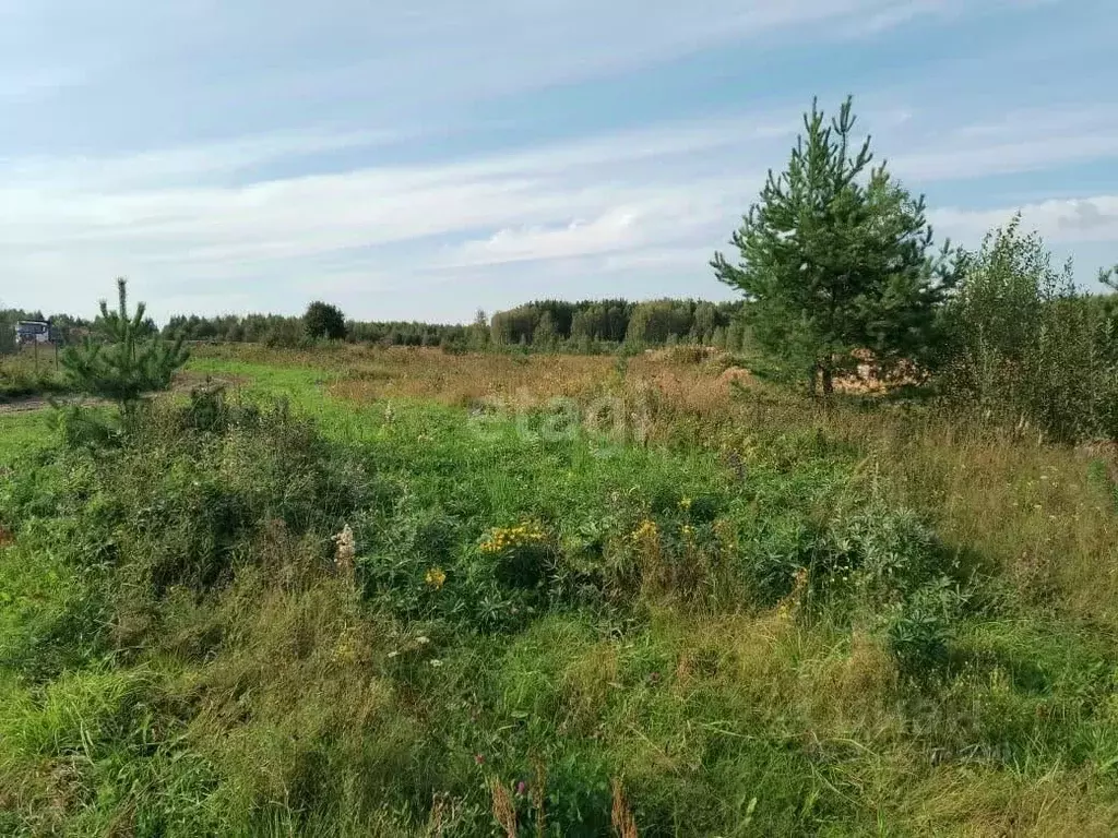 Участок в Владимирская область, Ковровский район, Доброград ... - Фото 0