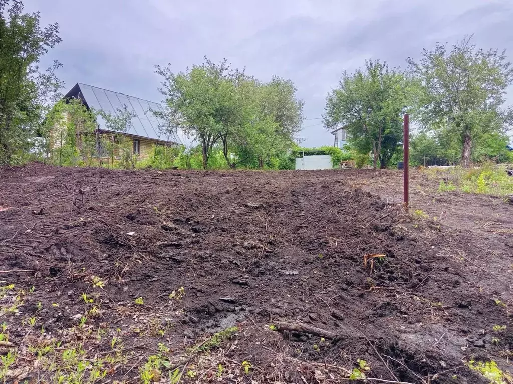 Участок в Саратовская область, д. Долгий Буерак, Новь СНТ  (6.7 сот.) - Фото 0