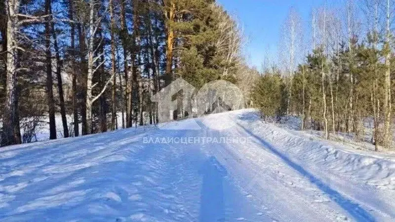 Участок в Алтай, Майминский район, Соузгинское с/пос, пос. Турбаза ... - Фото 1