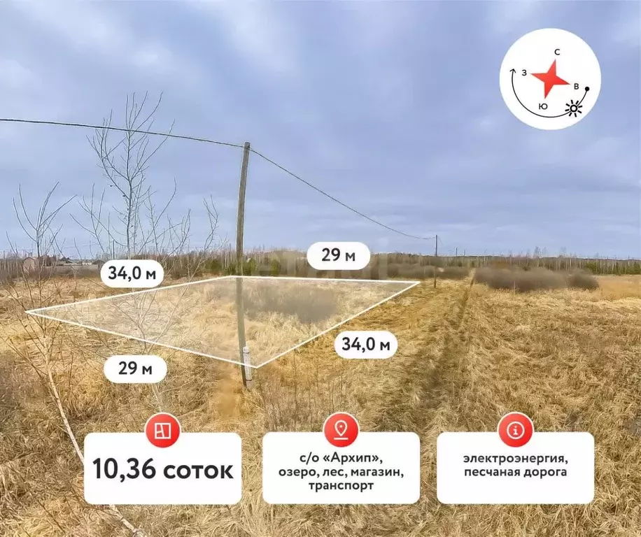 Участок в Тюменская область, Тюменский муниципальный округ, Архип ... - Фото 1