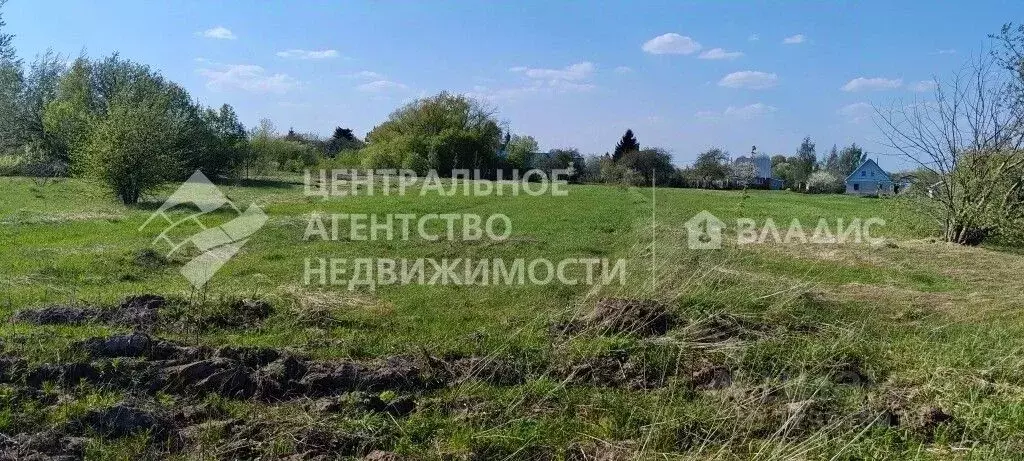 Участок в Рязанская область, Рязанский муниципальный округ, с. ... - Фото 1