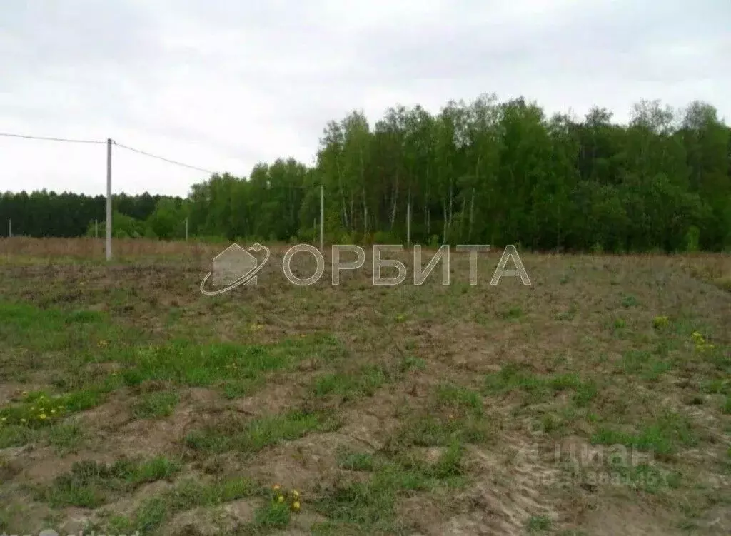 Участок в Тюменская область, Тюменский район, д. Елань  (5.0 сот.) - Фото 0