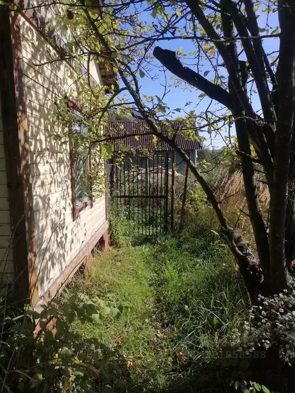 Дом в Московская область, Коломна Победа СНТ, 51 (6 м) - Фото 1