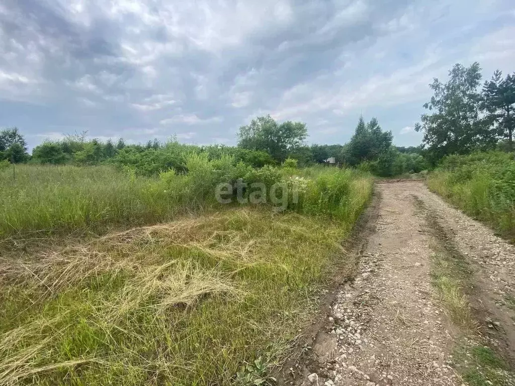 Участок в Амурская область, Благовещенск Молочник СТ,  (7.4 сот.) - Фото 0