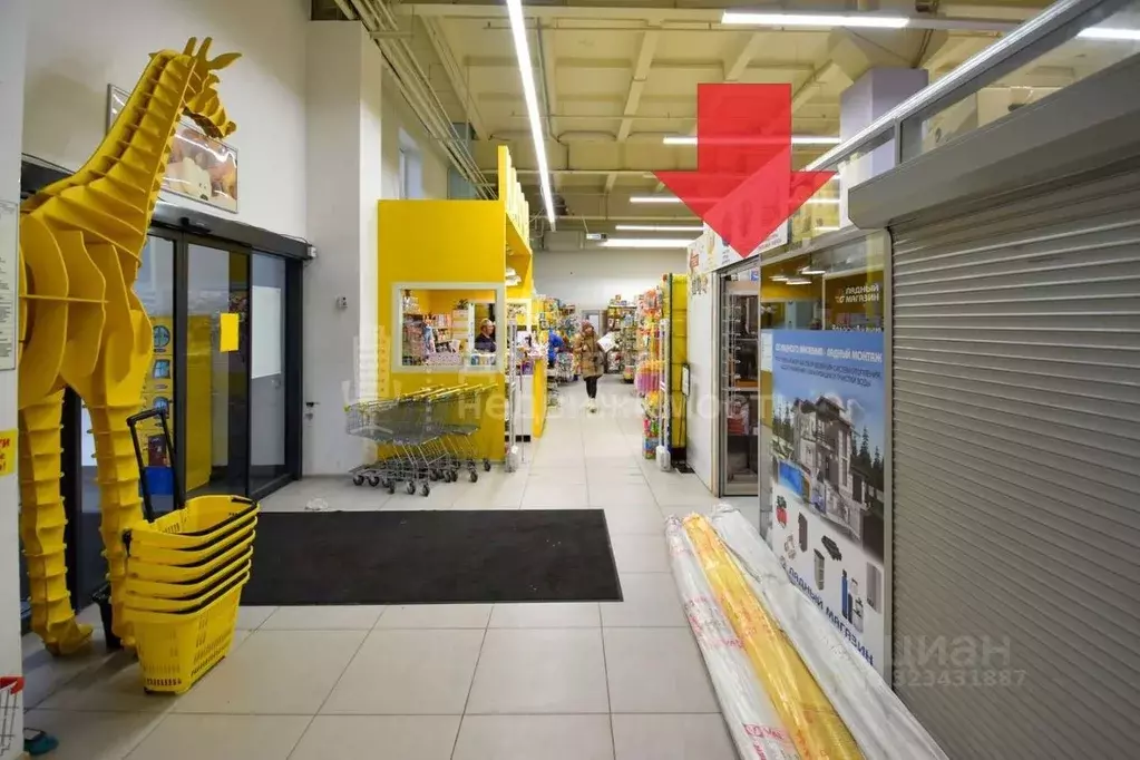 Торговая площадь в Новгородская область, Великий Новгород ул. Германа, ... - Фото 1