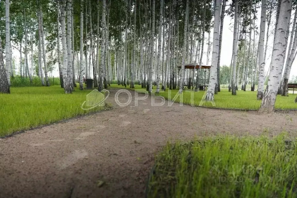 Участок в Тюменская область, Тюменский район, д. Решетникова  (5.1 ... - Фото 1