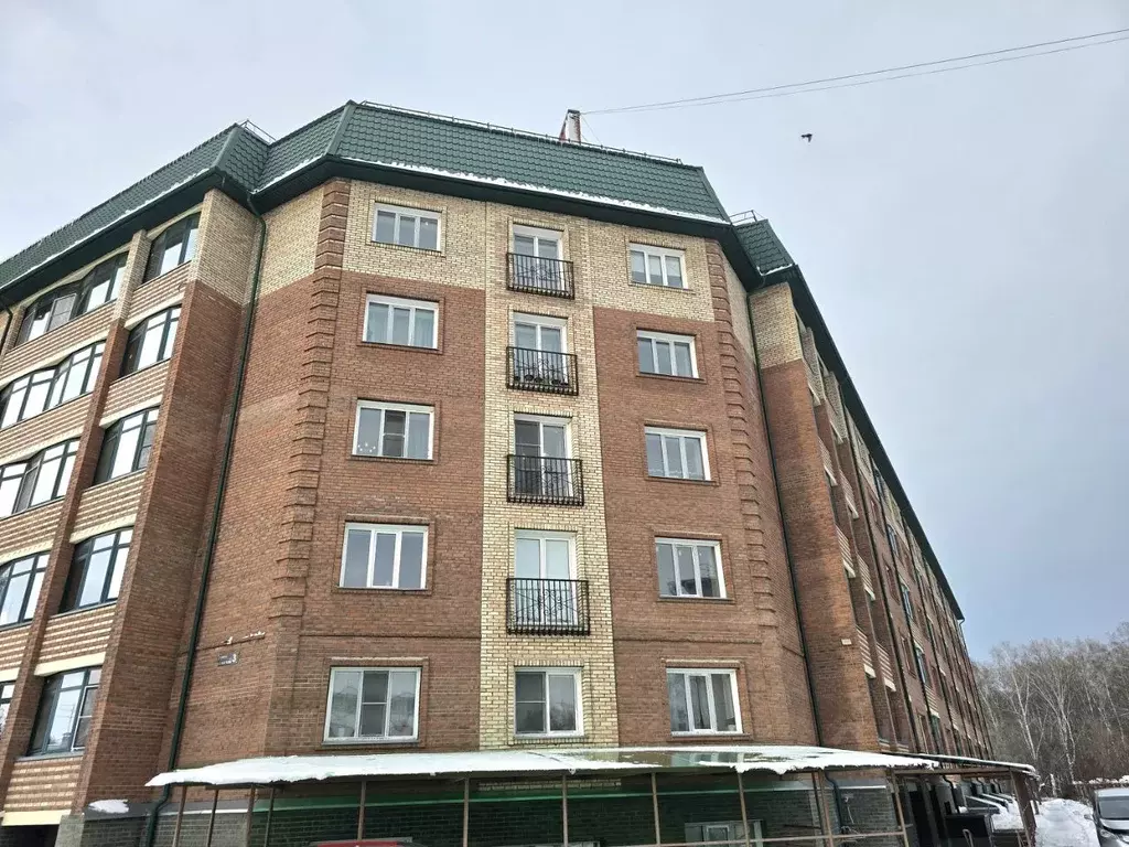 2-к кв. Новосибирская область, Новосибирский район, пос. Мичуринский ... - Фото 1