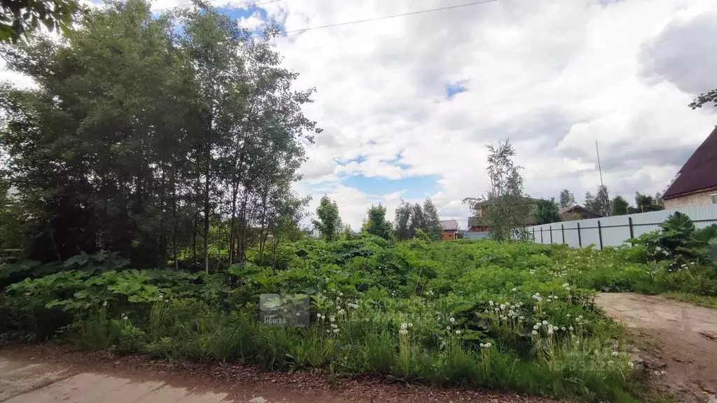 Участок в Московская область, Пушкинский городской округ, с. ... - Фото 1