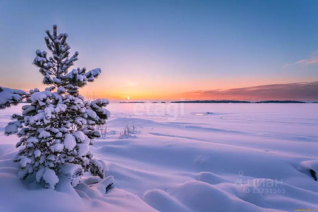 Участок в Челябинская область, Южноуральск  (2080.0 сот.) - Фото 0