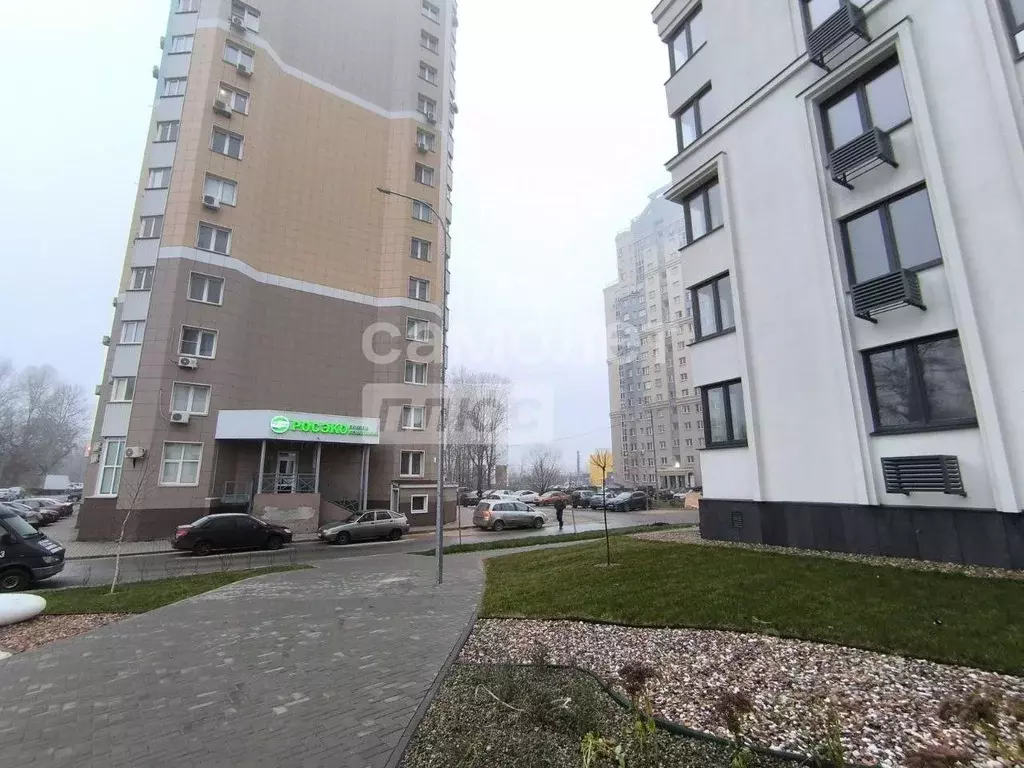 Студия Липецкая область, Липецк ул. М.И. Неделина, 4Д (29.5 м) - Фото 1