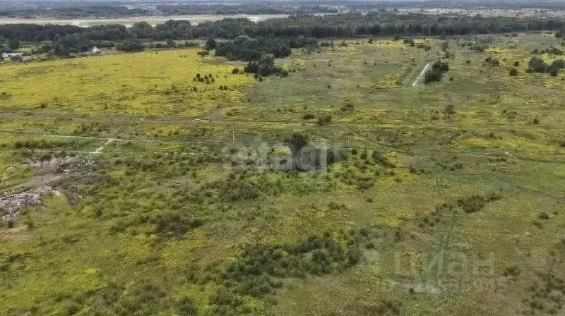 Участок в Калининградская область, Зеленоградский муниципальный округ, ... - Фото 1