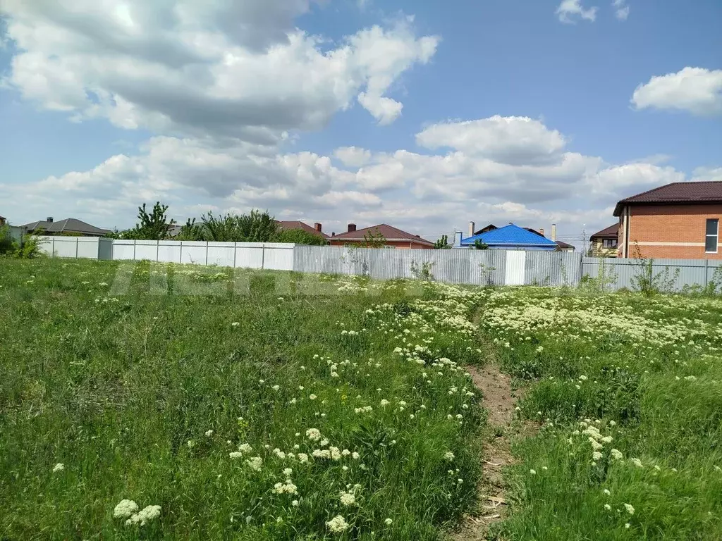 Участок в Ростовская область, Мясниковский район, Краснокрымское ... - Фото 1
