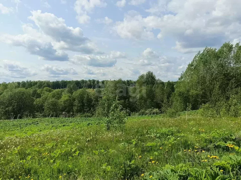 Участок в Коми, Сыктывдинский район, с. Выльгорт  (10.0 сот.) - Фото 1