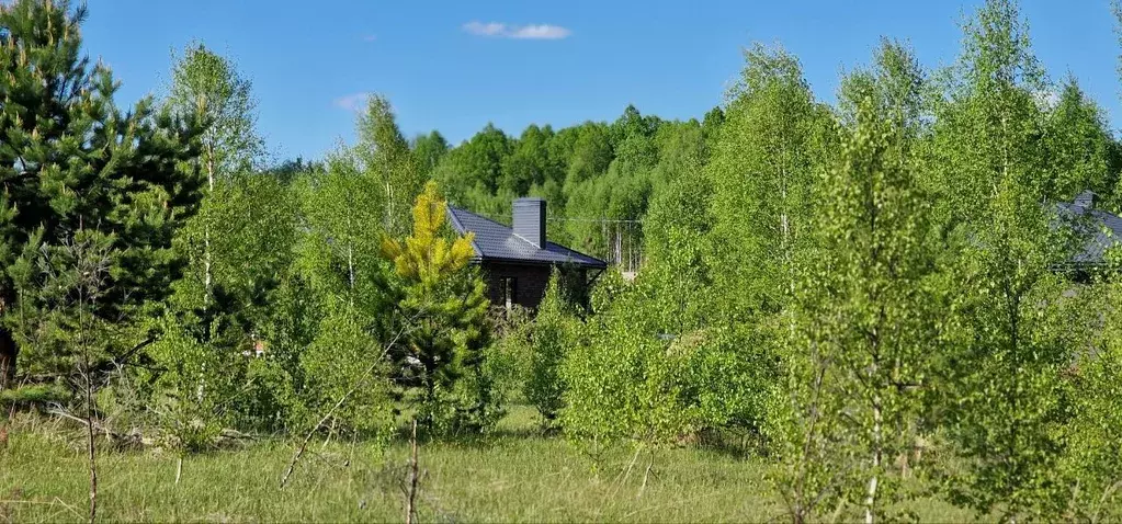 Участок в Татарстан, Лаишевский район, с. Сокуры, Новые Сокуры- 3 кп  ... - Фото 0