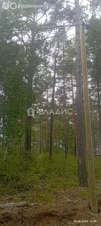 Участок в Прибайкальский район, село Горячинск (9 м) - Фото 0