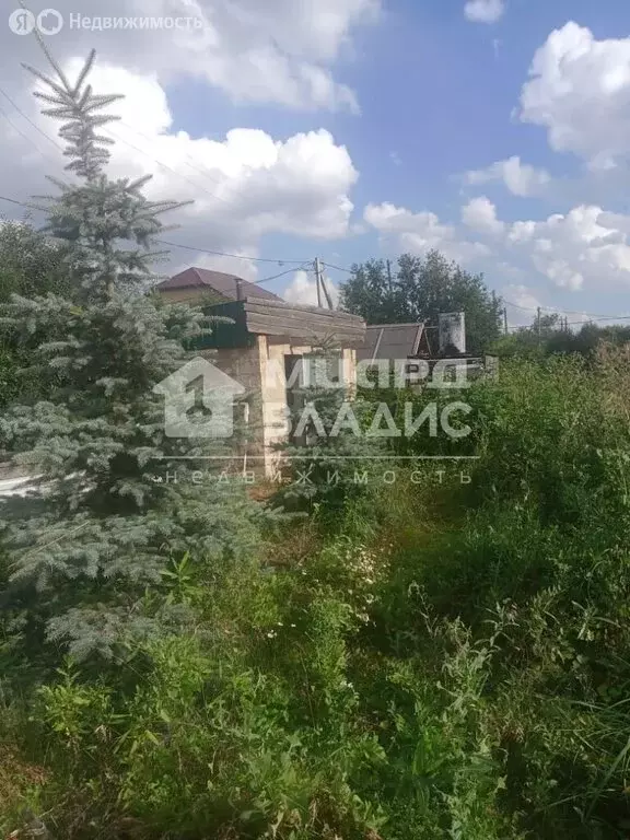 Участок в Омск, Центральный округ (6 м) - Фото 1