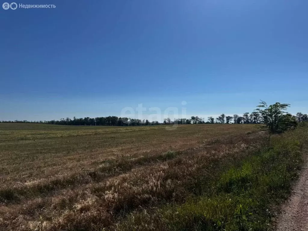 Участок в Симферопольский район, посёлок городского типа Николаевка (6 ... - Фото 1