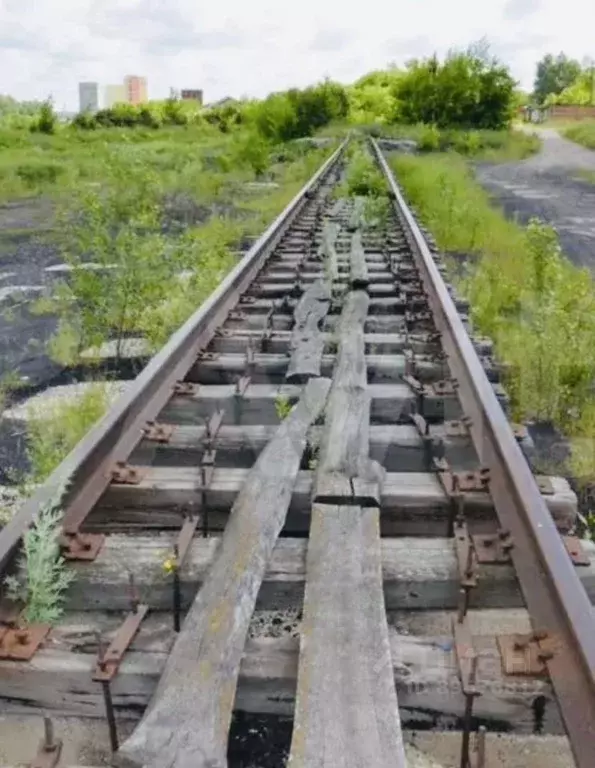 Склад в Пензенская область, Нижний Ломов Садовая ул., 1А (280 м) - Фото 1