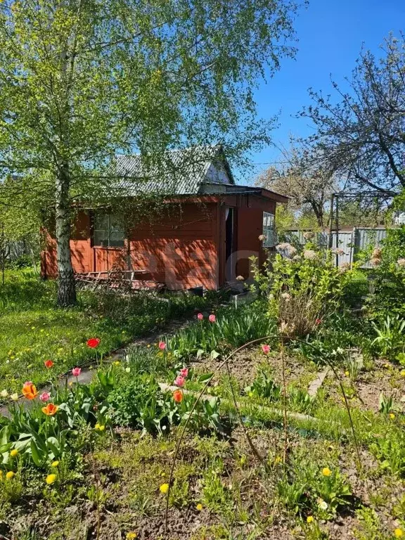 Дом в Тульская область, Тула Сокол СНТ, 127 (20 м) - Фото 1