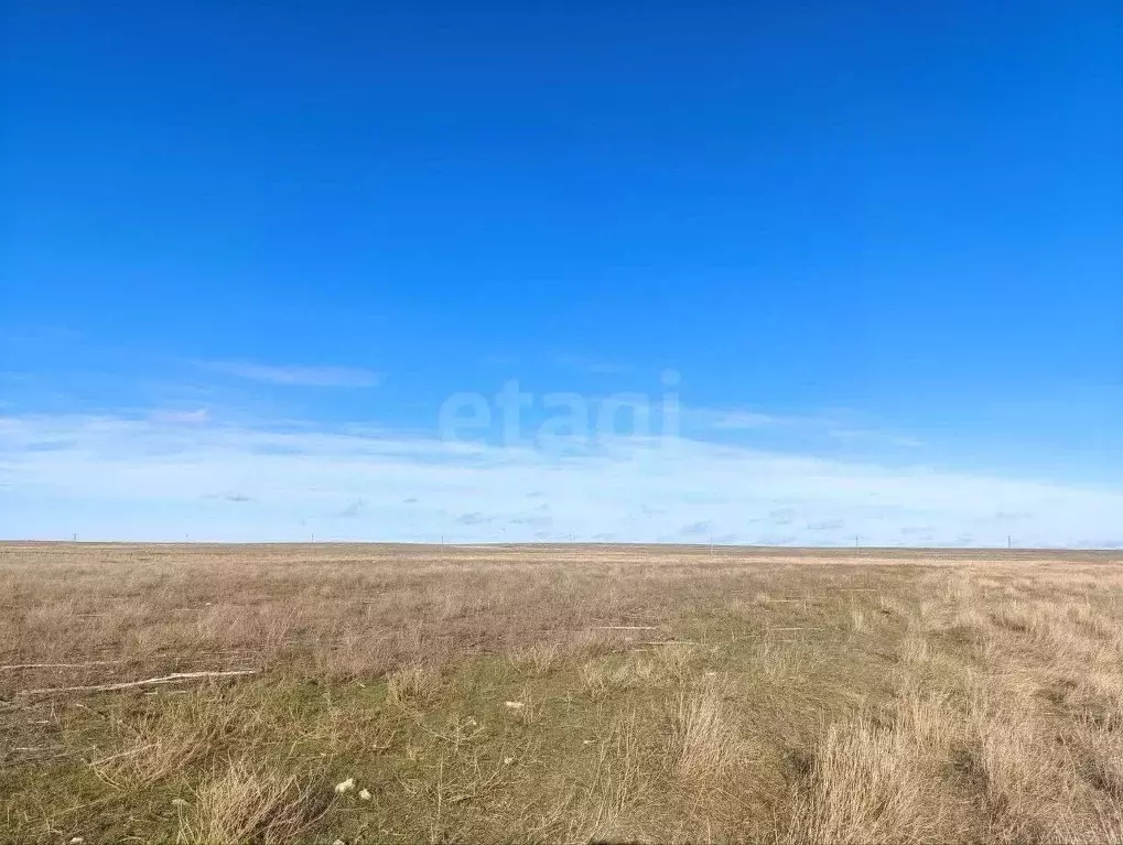 Участок в Крым, Черноморский район, Окуневское с/пос, с. Знаменское ... - Фото 1