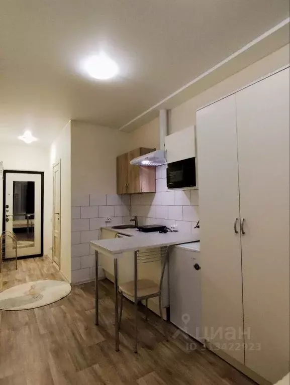 Студия Санкт-Петербург Московский просп., 102 (17.0 м) - Фото 2