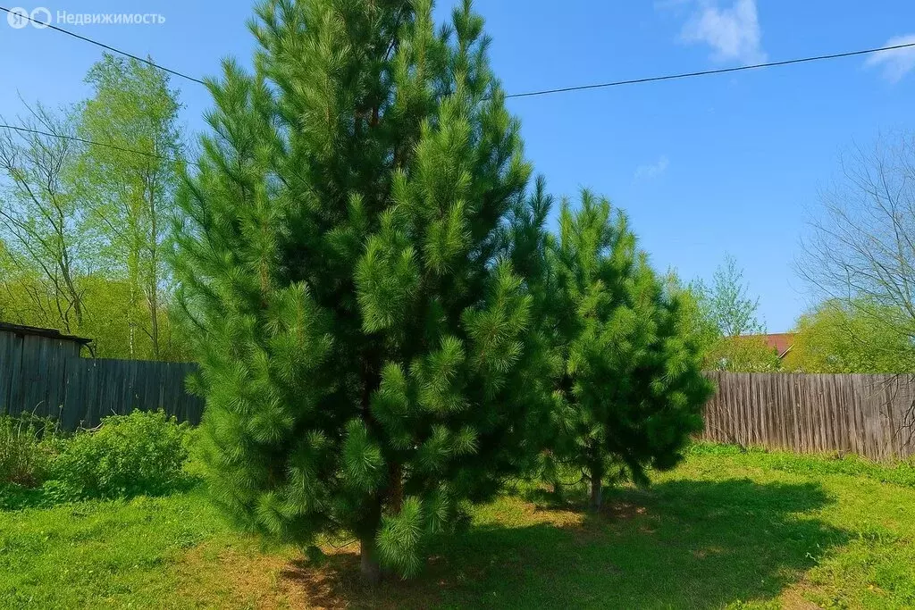 Дом в Юрья, улица Лермонтова, 7 (98 м) - Фото 2