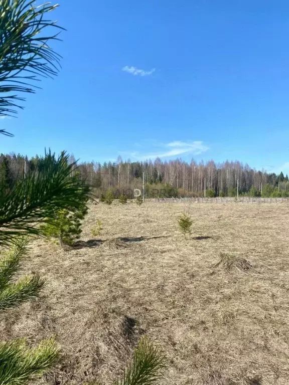 Участок в Кировская область, Слободской район, Бобинское с/пос, д. ... - Фото 2