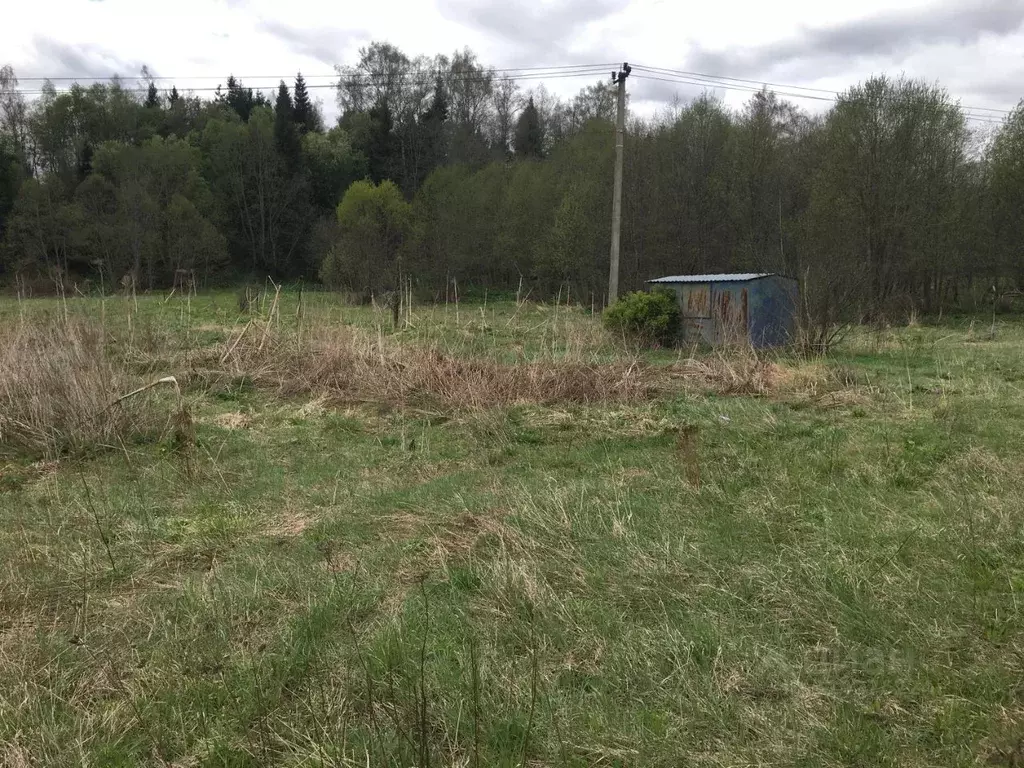 Участок в Московская область, Пушкинский городской округ, д. Раково  ... - Фото 1