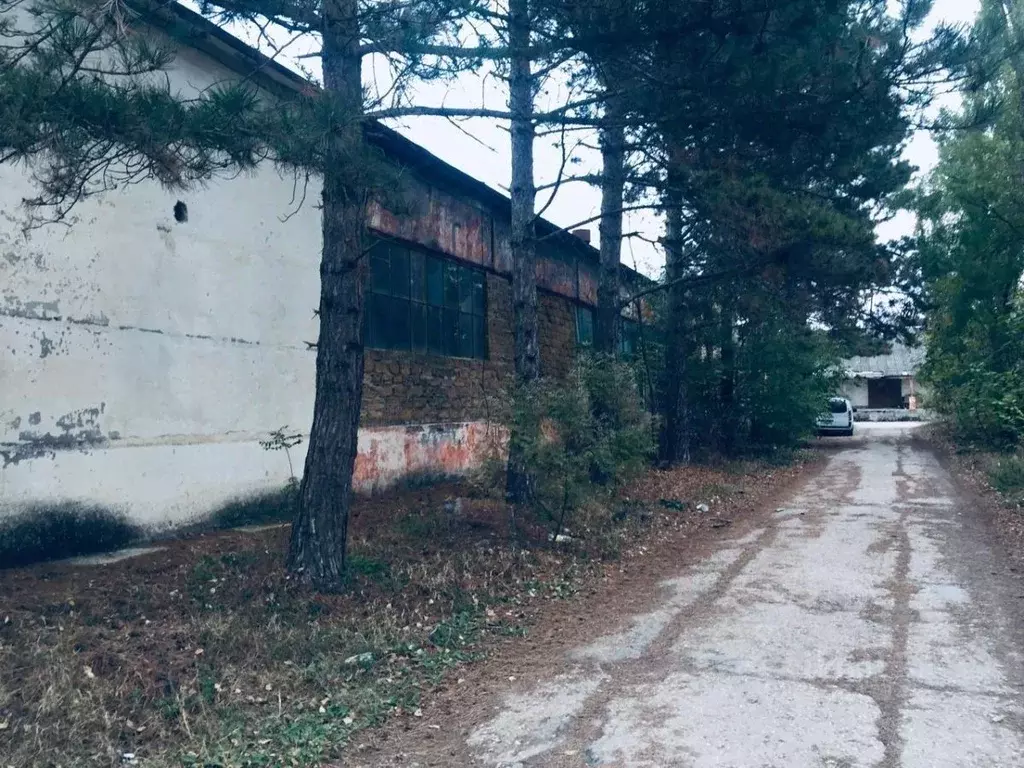 Помещение свободного назначения в Крым, Саки ш. Евпаторийское, 86 ... - Фото 0
