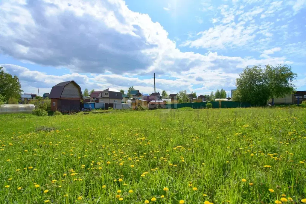 Участок в Томская область, Стрежевой Ветеран СНТ,  (5.0 сот.) - Фото 1