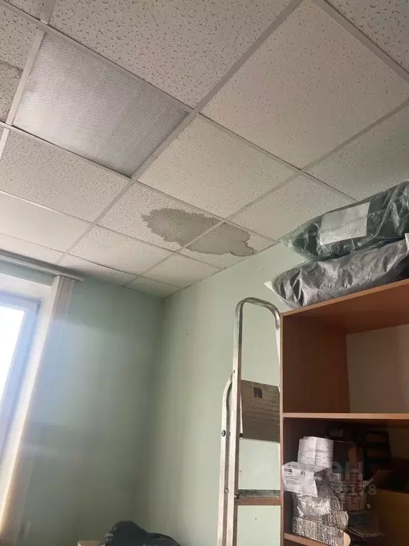 Помещение свободного назначения в Карелия, Кемь ул. Бланки, 12 (21 м) - Фото 2