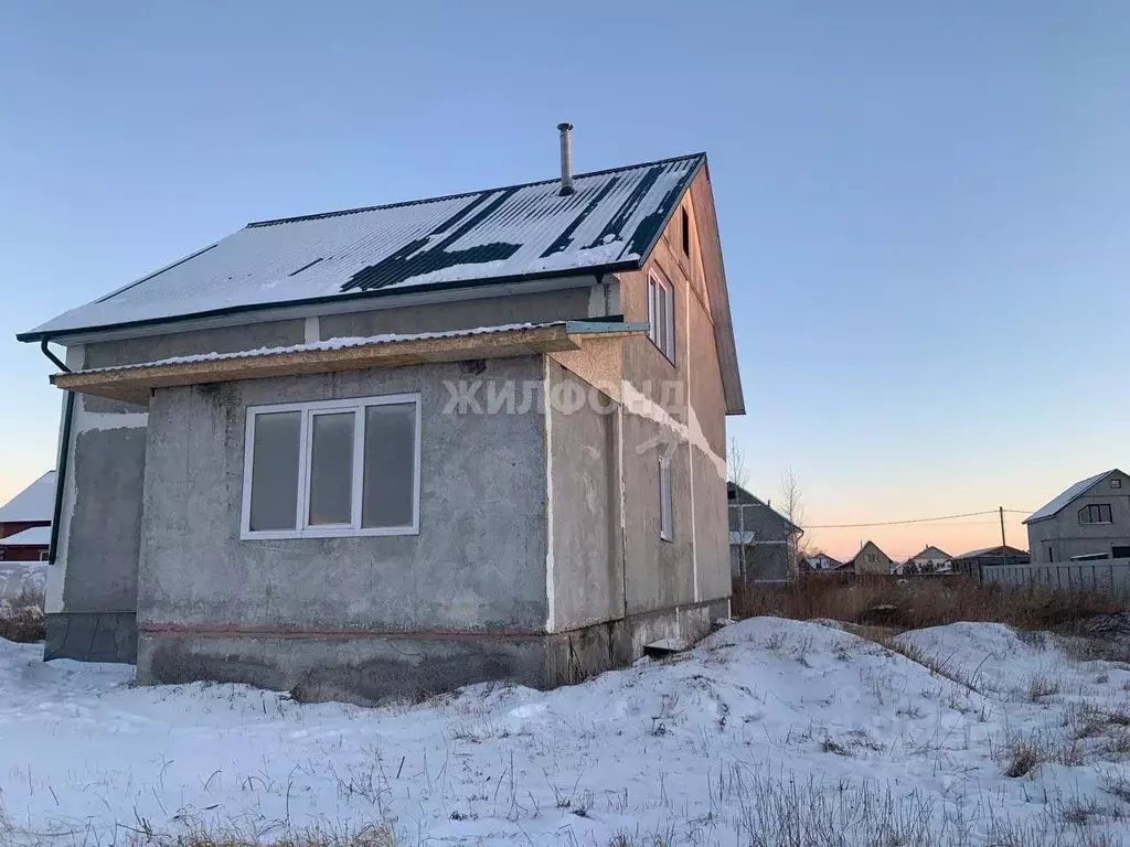 Дом в Новосибирская область, Новосибирский район, Верх-Тулинский ... - Фото 0