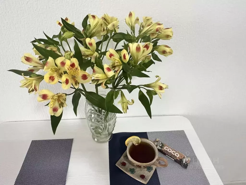 1-к кв. Свердловская область, Екатеринбург ул. Советская, 62Б (23.0 м) - Фото 1