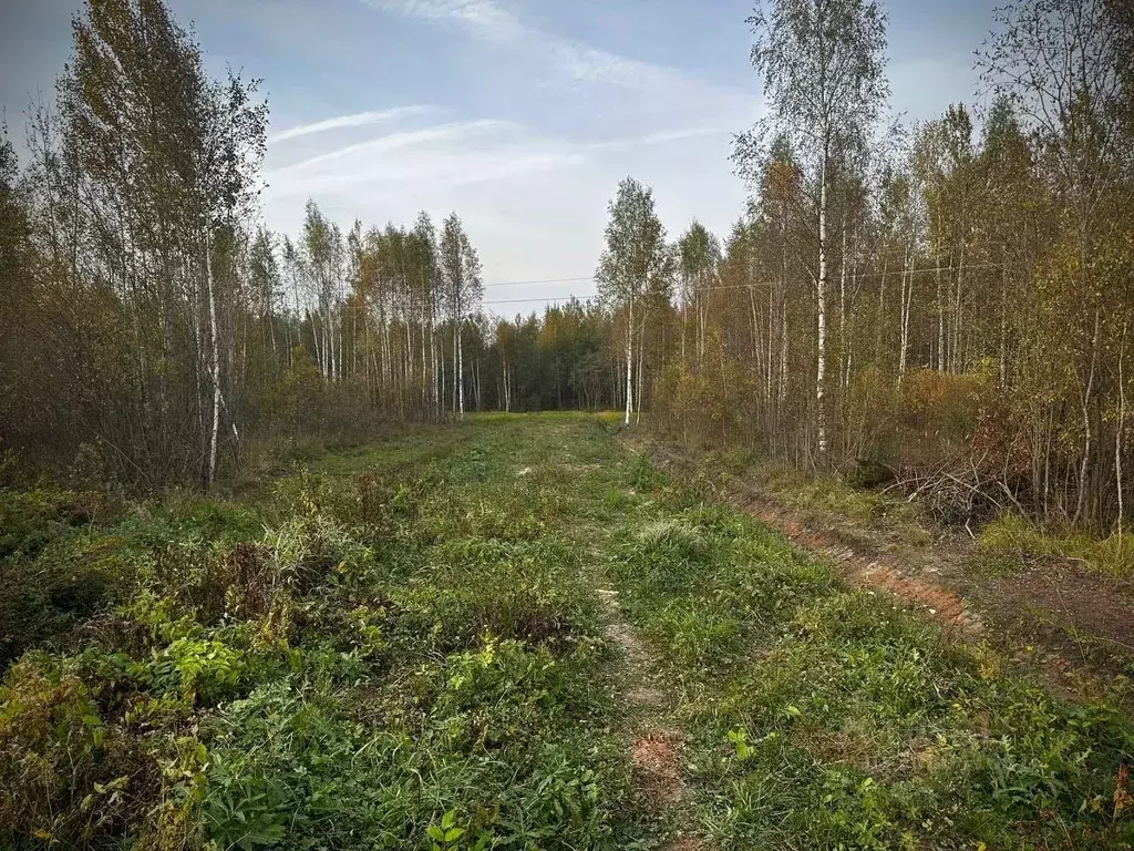 Участок в Новгородская область, Малая Вишера ул. 3-я Парковая (12.0 ... - Фото 0