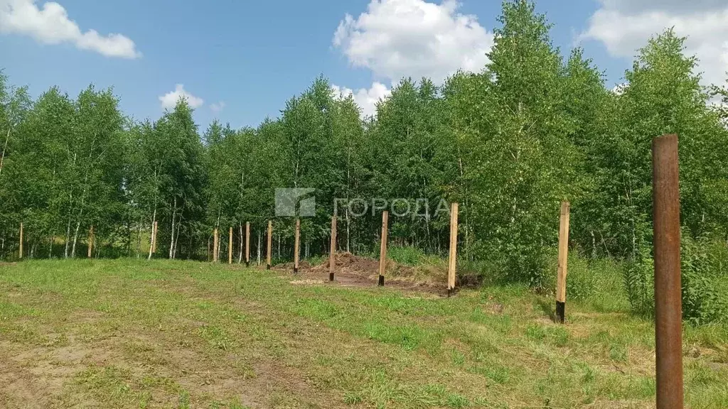 Участок в Новосибирская область, Новосибирский район, с. Верх-Тула ул. ... - Фото 1