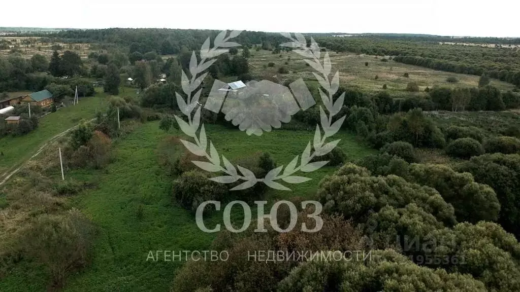 Участок в Калужская область, Дзержинский район, Совхоз Чкаловский ... - Фото 2