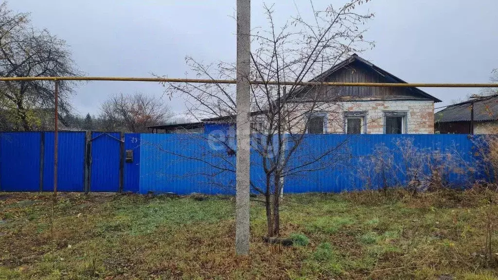 Дом в Белгородская область, Волоконовка рп ул. 60 лет Октября, 23 (56 ... - Фото 0