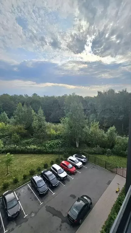 Студия Санкт-Петербург дор. Торфяная, 15к3 (25.0 м) - Фото 1