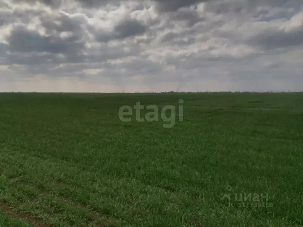 Участок в Крым, Симферопольский район, с. Новоандреевка  (135.0 сот.) - Фото 0