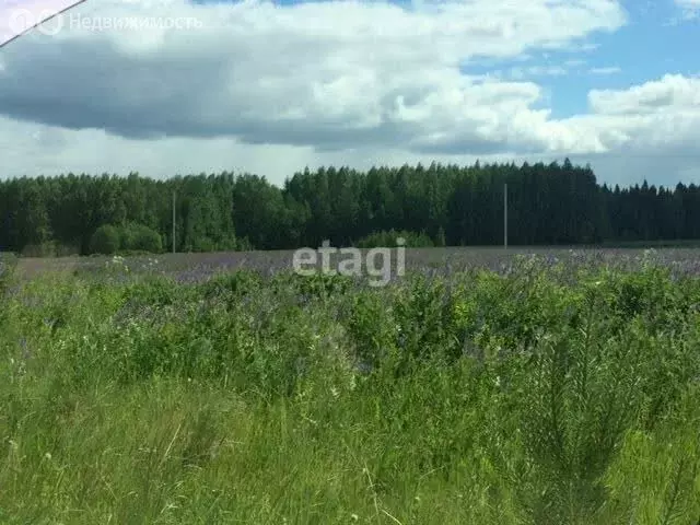 Участок в Кирово-Чепецкий район, село Кстинино (12.5 м) - Фото 0