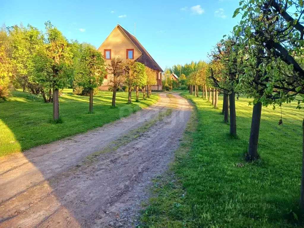 Дом в Псковская область, Пушкиногорье городское поселение, д. Бирюли 4 ... - Фото 1