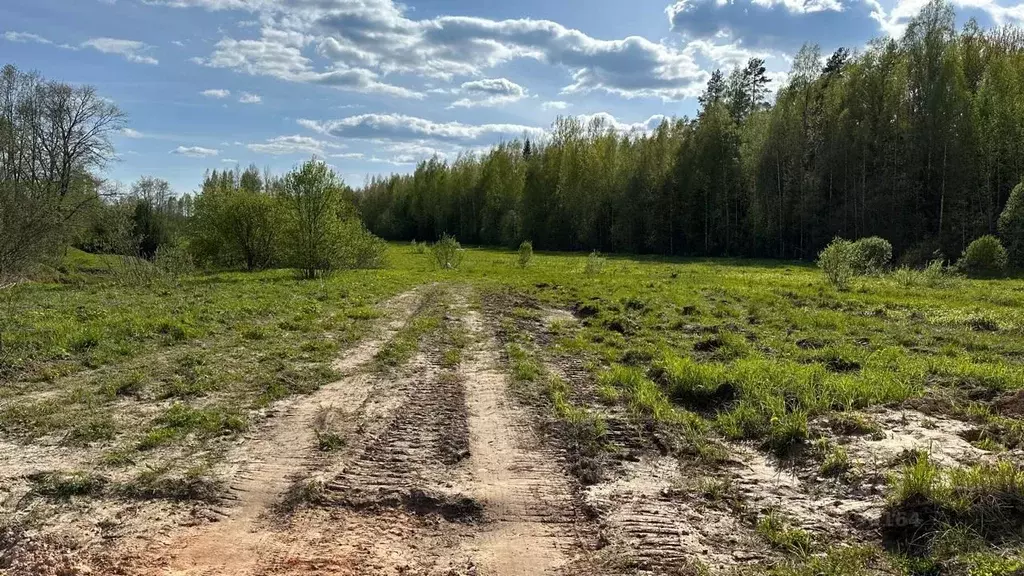 Участок в Новгородская область, Маловишерское городское поселение, д. ... - Фото 1